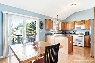 2019 Aspen Dr, Woodstock, IL 60098 - photo 2