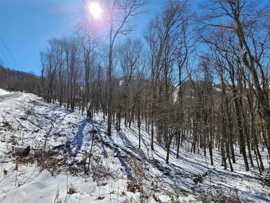 479 El Miner Dr, Mars Hill, NC 28754 - photo 4