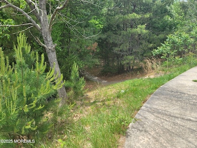 138 Hemlock Dr, Cream Ridge, NJ 08514 - photo 3