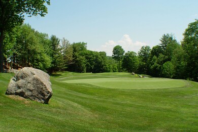 14 Oak Ln, Grantham, NH 03753 - photo 5