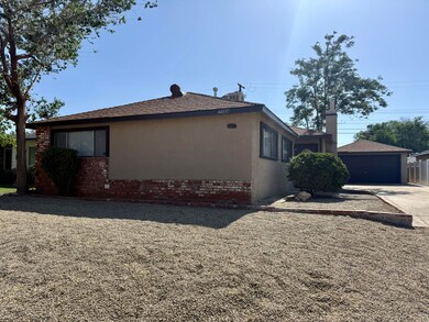 Front yard #2