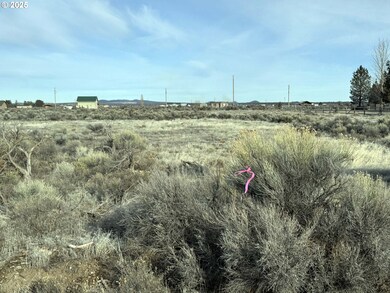 0 Elm Ln unit L5200 685282775, Christmas Valley, OR 97641 - photo 7