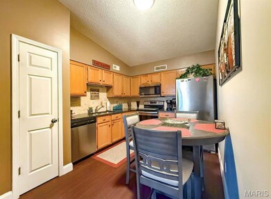 Kitchen with dark countertops, light brown cabinetry, dark wood-style floors, and stainless steel appliances