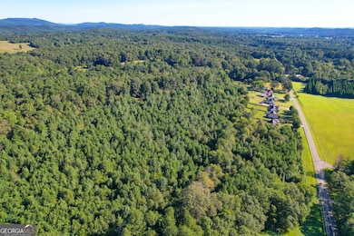 34 + - Acre On Ga Hwy 337, Lafayette, GA 30728 - photo 4