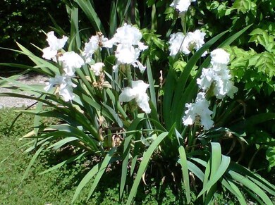 1128 Fairways unit 1128, Lebanon, TN 37087 - photo 5