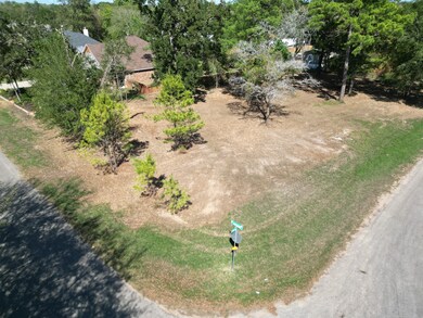 25088 Forest Cir, Hockley, TX 77447 - photo 2