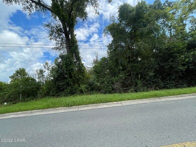 0 Bumpnose Rd unit 730126, Marianna, FL 32446 - photo 7