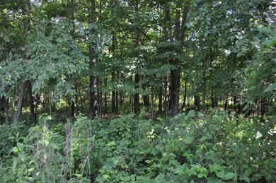 10014 Huron Creek Dr, Dexter, MI 48130 - photo 4