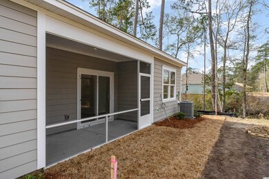 151 Vineyard Place unit 24, Pawleys Island, SC 29585 - photo 2