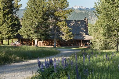 Wildflowers & Mountain View - Lodge