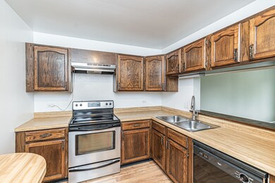 1255 N Sterling Ave unit 201, Palatine, IL 60067 - photo 5