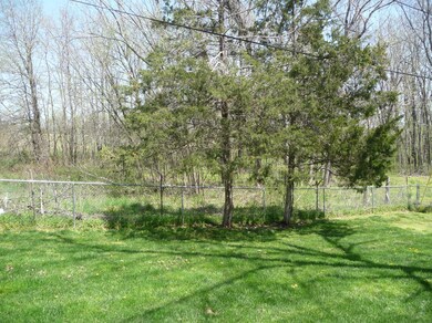 back yard 2