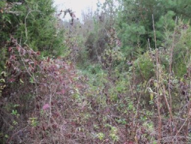 Lot 63 Hidden River Ln, Spencer, TN 38585 - photo 5