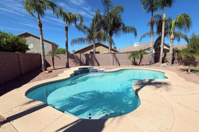 Backyard with Pool