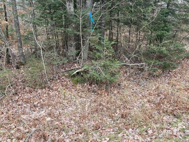 Map 1 Lot 24-5 Shaw Rd, Dover-Foxcroft, ME 04426 - photo 2