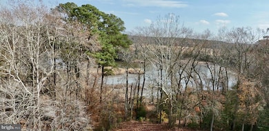 0 Cottman Rd, Allen, MD 21810 - photo 4