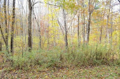 48 Lake George Rd, Wales, MA 01081 - photo 7