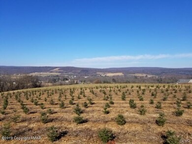 108 Chapel Dr, Mahoning Township, PA 18235 - photo 6