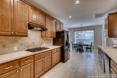 415 Penstemon Trail, San Antonio, TX 78256 - photo 7