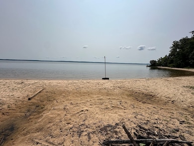 TBD Forest Blvd, Abbeville, AL 36310 - photo 5