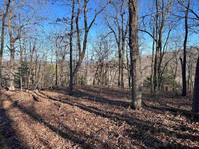 0 Mc 8060 unit 132985, Yellville, AR 72687 - photo 4