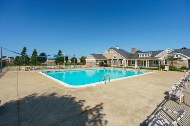 Summer Fun in the Pool