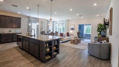 816 Sunshower Dr, Lady Lake, FL 32159 - photo 6