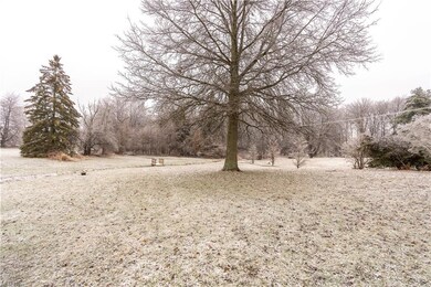 Spacious back wooded back yard