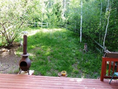 Backyard borders the National Forest wit