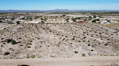 21327 Cleator Ave, Wellton, AZ 85356 - photo 5