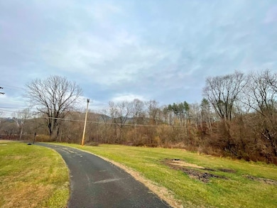 TBD Cox Ln, Max Meadows, VA 24360 - photo 6