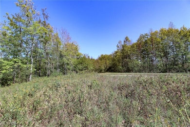 Lot 3 Moss Run Rd, Marietta, OH 45750 - photo 5