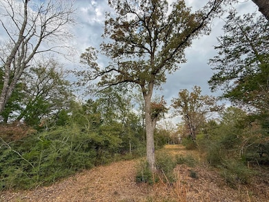 13 ac Highway 75 N, Buffalo, TX 75831 - photo 6