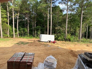 186 Downing St, Oxford, MS 38655 - photo 7