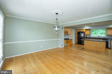 4653 Cherry Valley Dr, Rockville, MD 20853 - photo 7