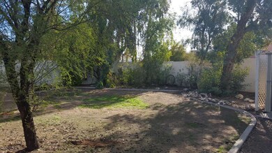 Back yard