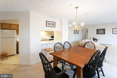 6505 Springwater Ct unit 7404, Frederick, MD 21701 - photo 5