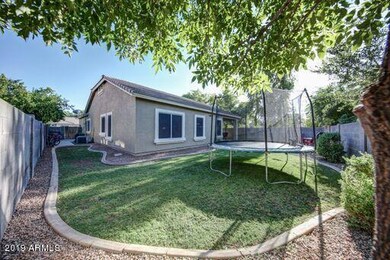 Backyard Angle