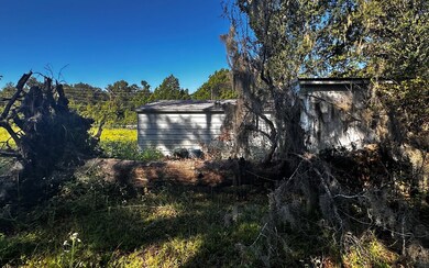 355 NE Rebecca Terrace, Lake City, FL 32055 - photo 5