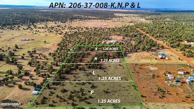TBD Flake Rd Lots L & P 2 54 Acres --, Aripine, AZ 85933 - photo 4