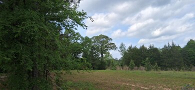 View of wooded area