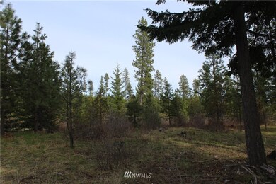 unlisted-address, Cle Elum, WA 98922 - photo 5