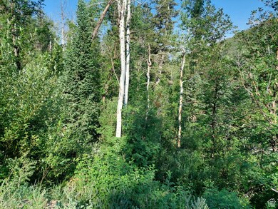 819 N Fork Rd unit 819, Mount Pleasant, UT 84629 - photo 2