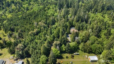 16917 92nd St SW, Longbranch, WA 98351 - photo 6