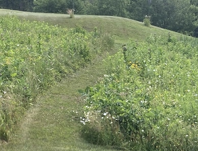 138 Trow Hill Rd, Sunapee, NH 03782 - photo 5