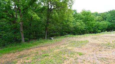 Lots 4 5 6 & Acreage Loch Dr, Kimberling City, MO 65686 - photo 6