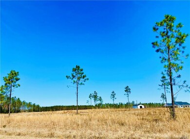 0 Camp Edgewood Rd unit SWL25001616, Dequincy, LA 70633 - photo 3