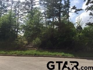 2704 Hemingway, Tyler, TX 75701 - photo 4