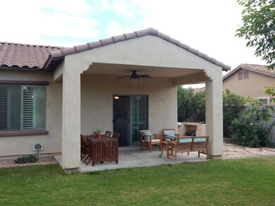 Backyard 2.JPG