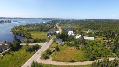 IMG_4659